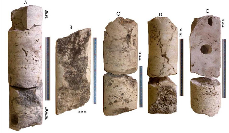Core samples / geology